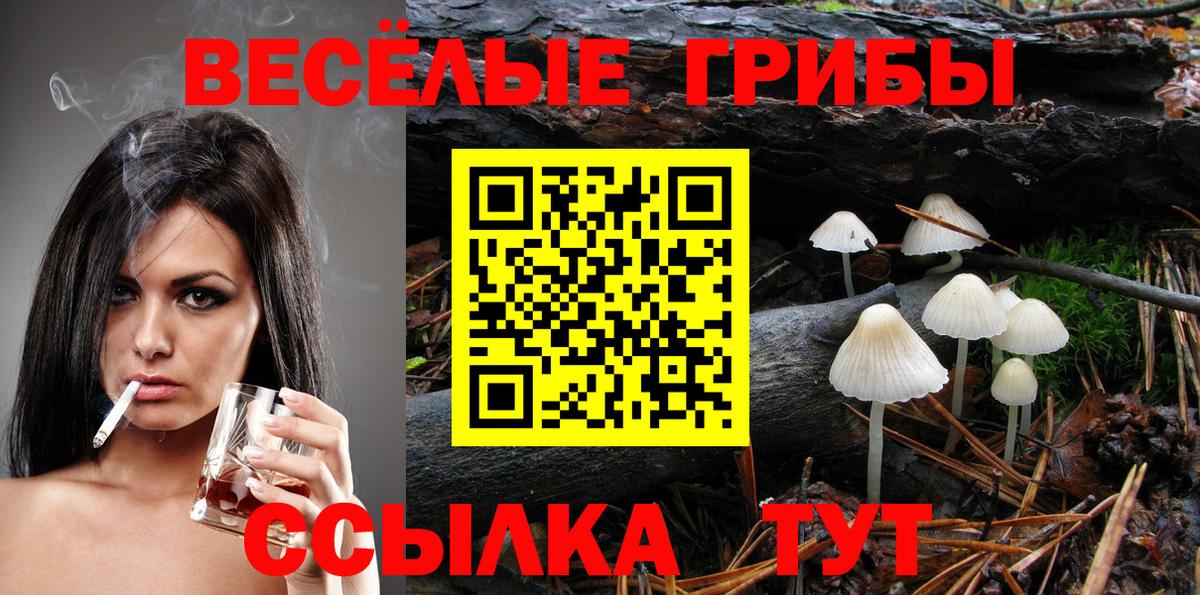 Псилоцибиновые грибы MAGIC MUSHROOMS Королёв