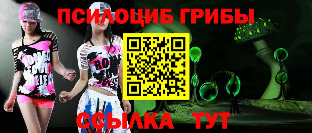 Галлюциногенные грибы прущие грибы  Вход с VPN  Королёв 