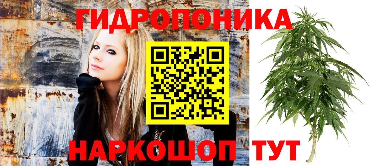 Шишки марихуана VHQ  Конопля AK-47  Шишки марихуана MAZAR  Вход с VPN  Королёв  Бошки Шишки ГИДРОПОН 